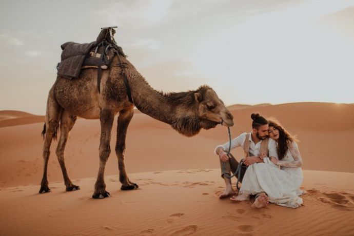 JAIPUR UDAIPUR HONEYMOON TOUR